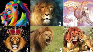 ¿Cómo es tu PAREJA IDEAL?: hacé el test del león
