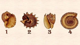 TEST de los CARACOLES: conocé tus deseos más profundos