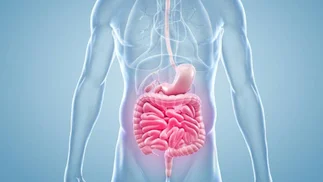 10 aspectos poco conocidos sobre la microbiota intestinal