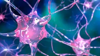 CONICET recibe apoyo global para desarrollar tratamientos innovadores contra el Alzheimer