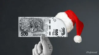 Bono de ANSeS: quiénes cobran un refuerzo de $10.000 en diciembre