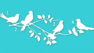 El TEST de los PÁJAROS: descubrí tu propósito en la vida