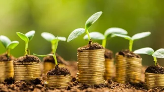 Ver el precio de la naturaleza para financiar el cambio climático
