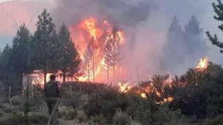 Incendios en El Bolsón: declararon la emergencia en la zona