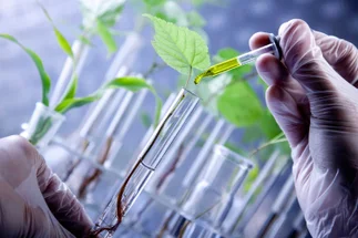 Biotecnología: 5 startups argentinas apuestan a cambiar el mundo