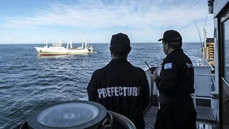 Arrasan Mar Argentino: 600 barcos chinos pescan cuatro veces más que la flota local