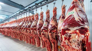 Empresarios del campo europeo, en alerta por el acuerdo con el Mercosur