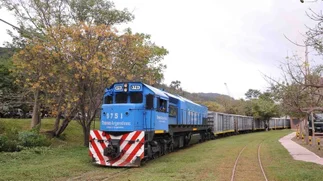 Milei extiende la concesión de una red ferroviaria de carga