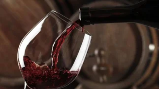 Argentinos y brasileños se van a Uruguay e invierten en vino