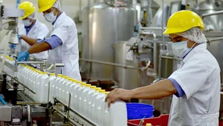 Gigantes de los lácteos van por la planta que producía yogures Yogs y postrecitos Shimy