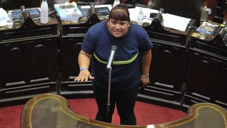Ley ómnibus: diputada K confesó que no tuvo tiempo para leer