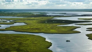 Por qué los Esteros del Iberá son el destino ideal para ganarle al frío en invierno