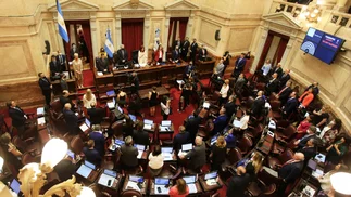 Senado: acuerdo forzado para aprobar leyes clave