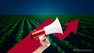 Retenciones al agro más cerca de su fin el juez a favor de la SRA