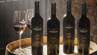 Un viaje al Malbec de Mendoza en 4 VINOS que hay que probar
