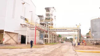 Gigante del agro invirtió u$s500 millones: molerá 15.000 toneladas de soja por día