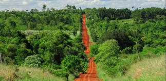 Misiones recibirá una compensación por cuidar al medioambiente