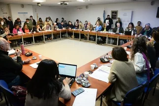 Diputados: avanza el proyecto de ley de cuidados paliativos