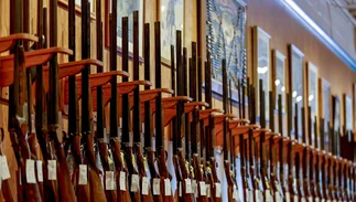 El Gobierno lanzó un trámite online para agilizar la transferencia de armas
