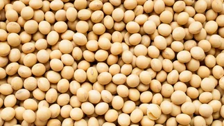 El agro ya generó u$s19.048 millones en 2026 y maíz, trigo y girasol marcaron récords