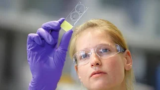 Cáncer: hay más de 3 mil nuevos tratamientos en investigación