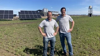 Robotizaron un tambo para producir leche de manera sustentable