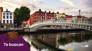 Irlanda busca talento argentino: puestos y qué se necesita