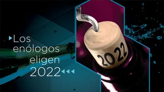 Estos son los mejores vinos del 2022 según el voto de 35 enólogos