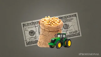 Dólar soja, sequía y precios en baja: combo fatal para el campo