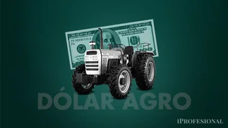 Dólar agro: cómo y cuáles son los cambios para el campo