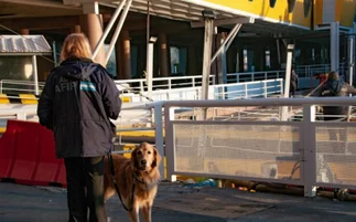 Fuerte operativo de la Aduana en Buquebus en una embarcación