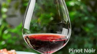 5 Pinot Noir que marcaron un hito entre los vinos argentinos