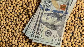 Cayó un 50 por ciento el valor de las exportaciones del agro