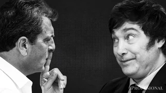 ¿Qué muestran y qué esconden Massa y Milei sobre impuestos?