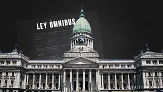 Cuáles son los artículos de la Ley ómnibus que podrían caer