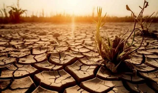 Alerta Davos 2026: el cambio climático pierde prioridad entre los líderes globales