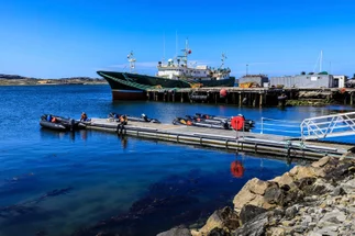 Advierten que flotas extranjeras capturan hasta cuatro veces la pesca nacional