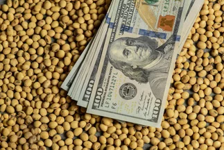Nuevas referencias del Dólar Exportador para agilizar el comercio de granos
