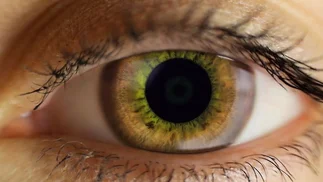 Un escáner de retina y un algoritmo permite estimar la edad biológica y riesgo de muerte