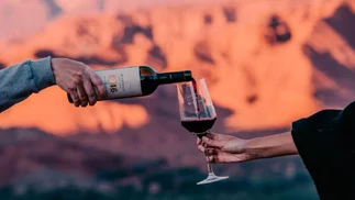 Secretos de los Malbec del Norte: ¿por qué son vinos tan especiales?