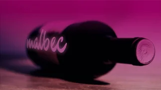 Qué VINOS MALBEC probar, según el voto de reconocidos sommeliers