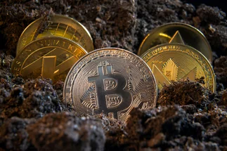 ¿Cuál es la criptomoneda más rentable?: 3 razones para invertir en PlayDoge