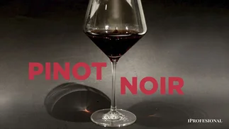 Pinot Noir: por qué es una variedad fascinante y qué vinos debés probar