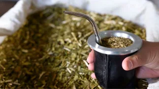 Despidos y crisis en yerbatera de los Puerta que provee a Nobleza Gaucha y Cruz de Malta