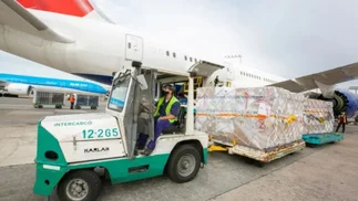 Intercargo: Milei pasó la motosierra pero su ADN conflictivo alienta la privatización
