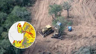 Salta:  impulsa un controversial proyecto de ley para el 'ordenamiento' de bosques nativos