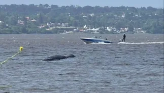 Qué es la misteriosa protuberancia que se divisa en el Lago San Roque