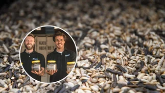 Vieron en la cría de insectos un negocio 'verde' y millonario: ¿cuánto invirtieron?