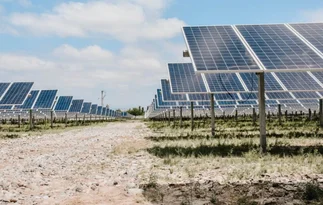 Las energías renovables atienden la mayor demanda eléctrica, con un pico de fuente solar
