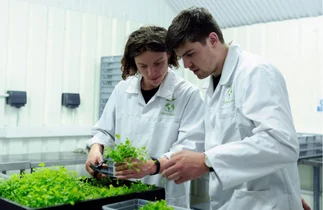 Carreras 'verdes': qué estudiar en Argentina si te interesa el medio ambiente